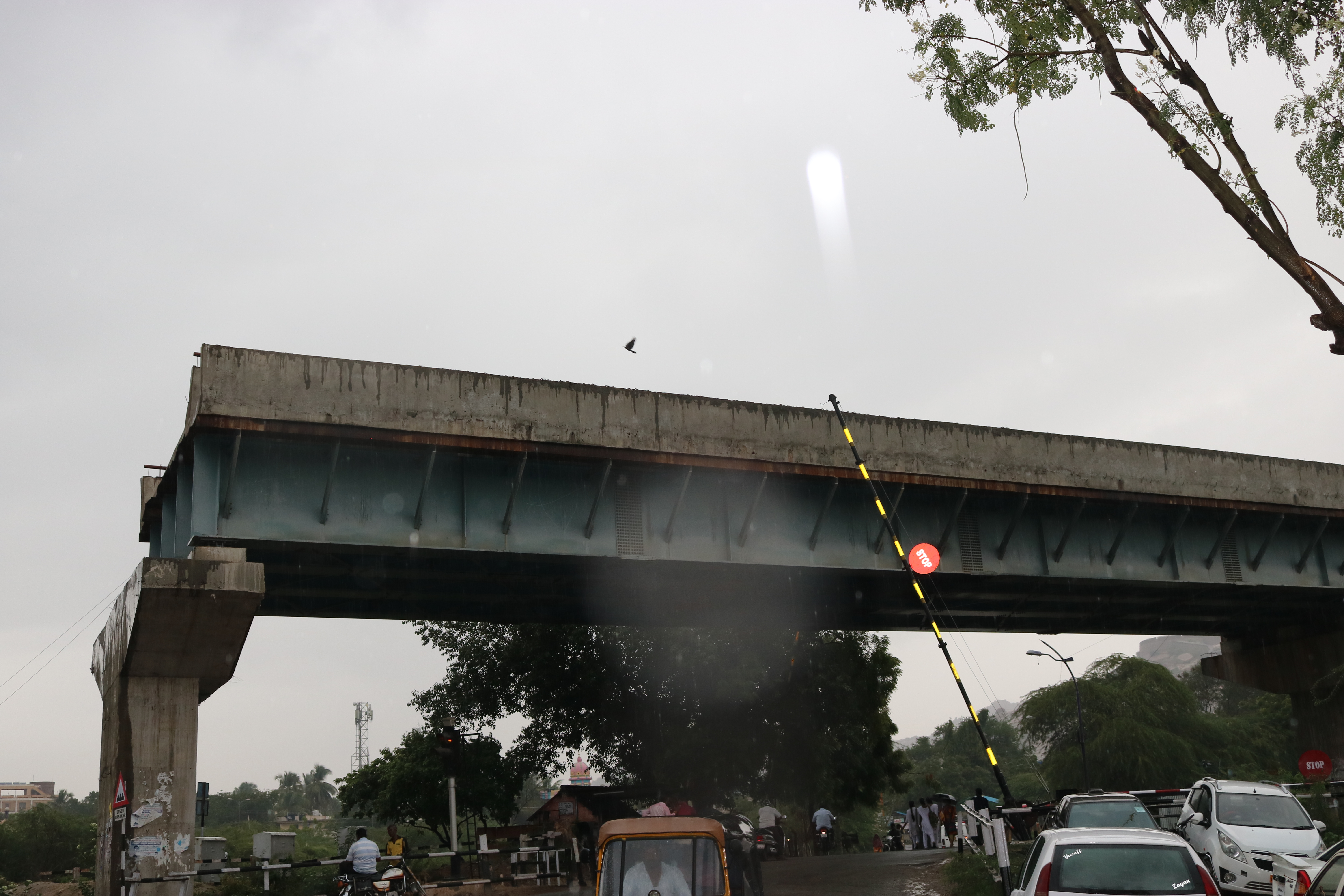 Zayed International Airport